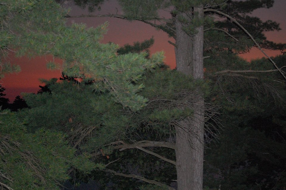 SUMMER (156)